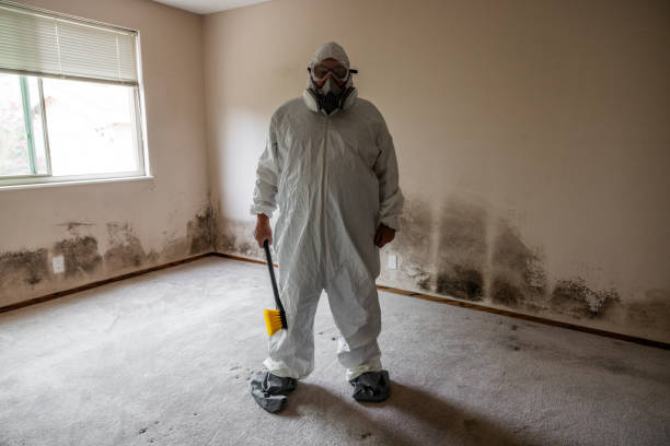 Best Toxic Mold Removal  in Country Clu, CA